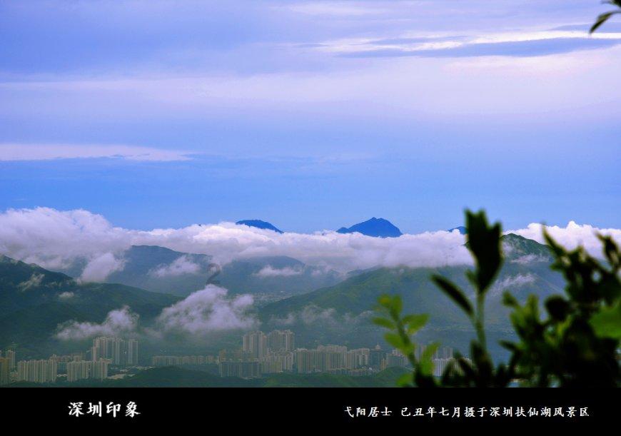 爱吃叶子的毛毛虫