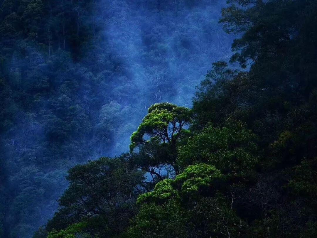 救援部落战士