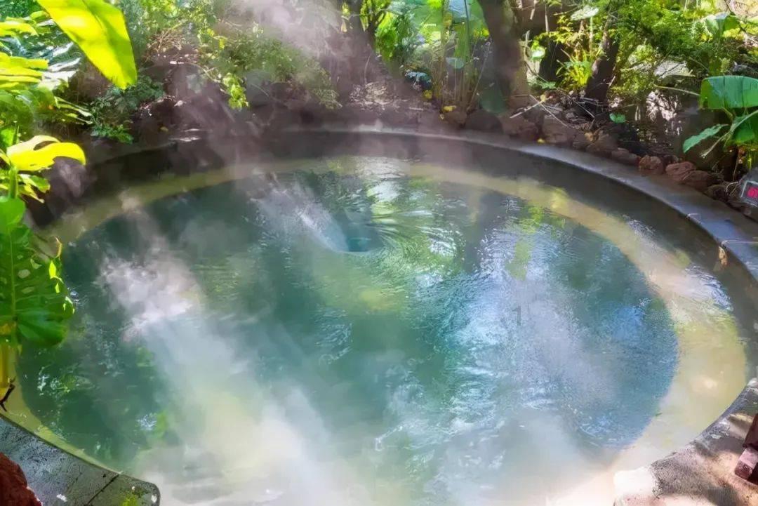 一家最好的风水就是善待妻子游戏画面