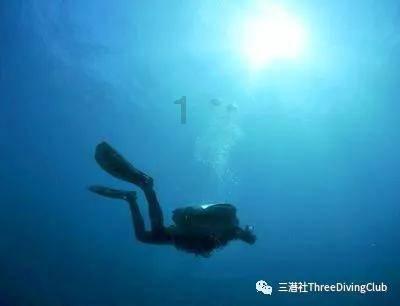 怪物大拼图