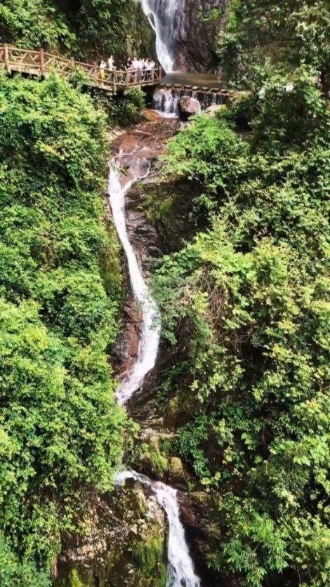 见个面吧，在屏边大围山温暖而浪漫的冬天