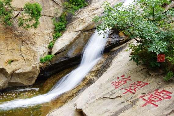 拯救毛茸茸男人