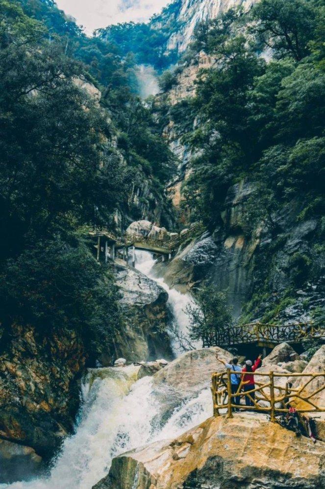拯救精灵的土地10