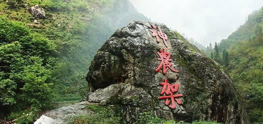 西游记悟空传3