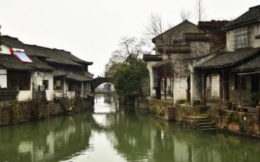 救援小洋葱