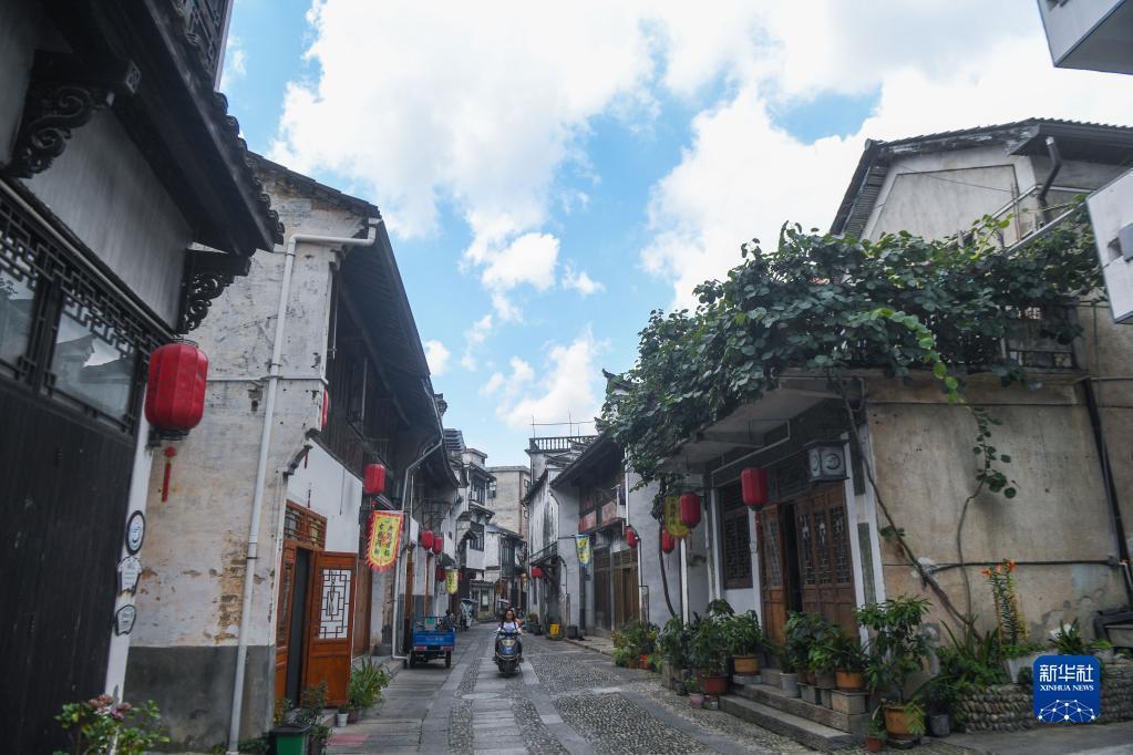 融资担保引“活水” 助企纾困促发展