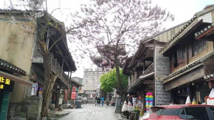 幽幽梦游记