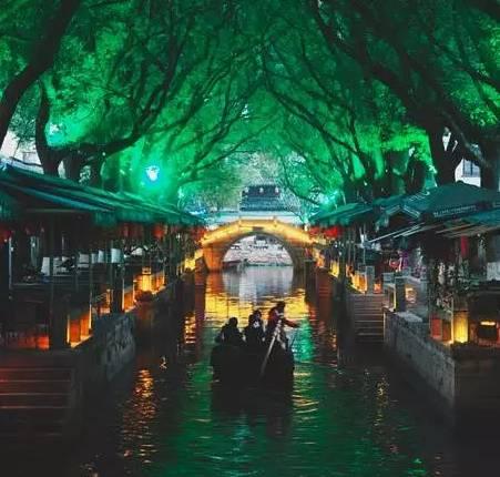如何带“毛孩子”乘飞机回家过年？这份指南请收好